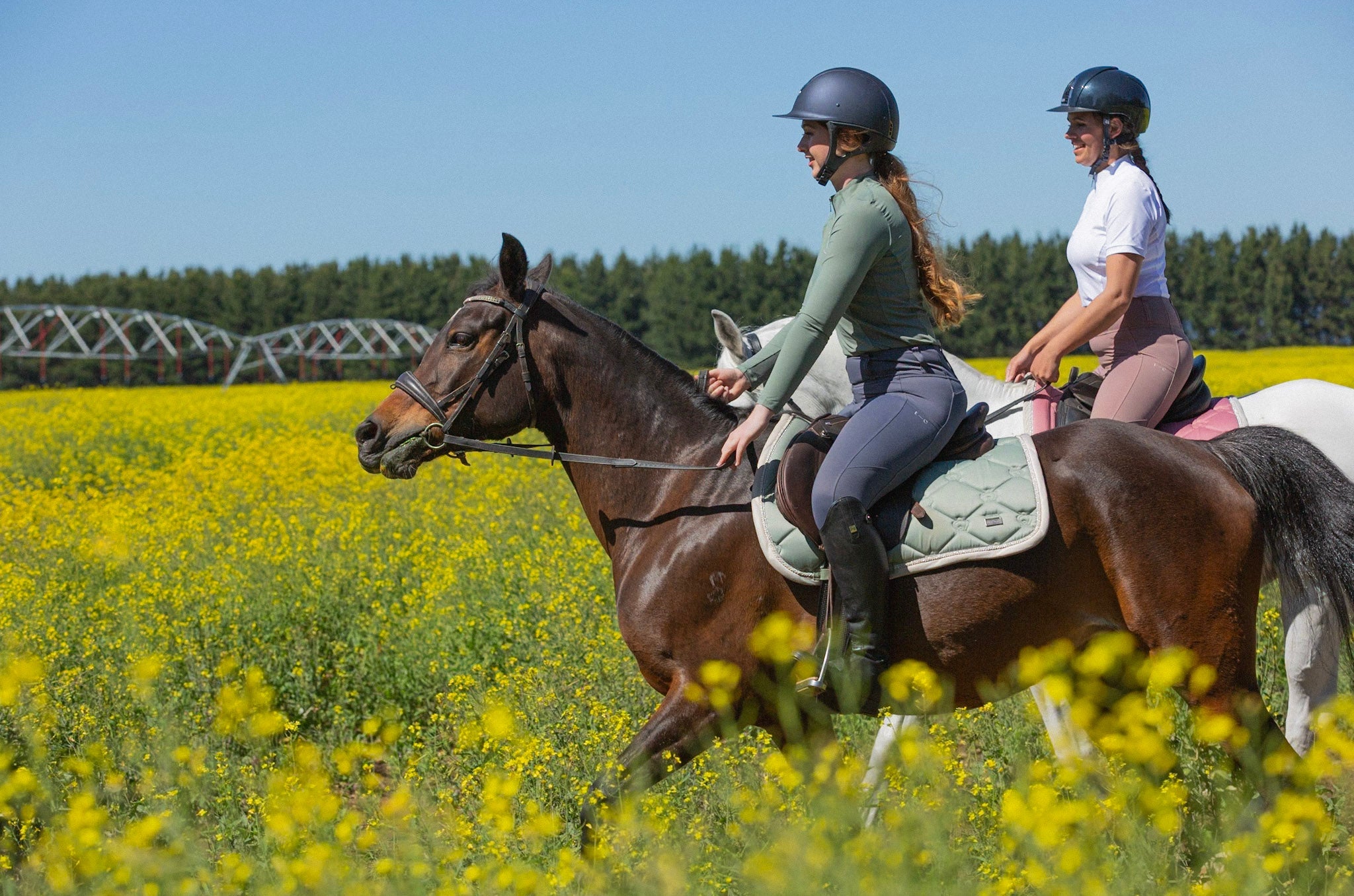 Equestrian Leggings