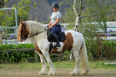 Honeycomb Technical Tights: Navy-Pants-Equestrian Collective